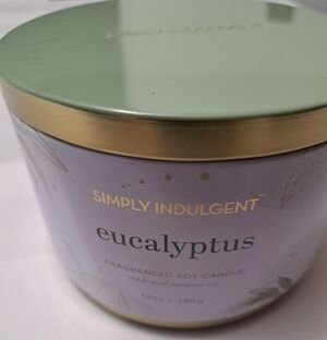 NEW Simply Indulgent Eucalyptus Soy Candle    Size 14oz.